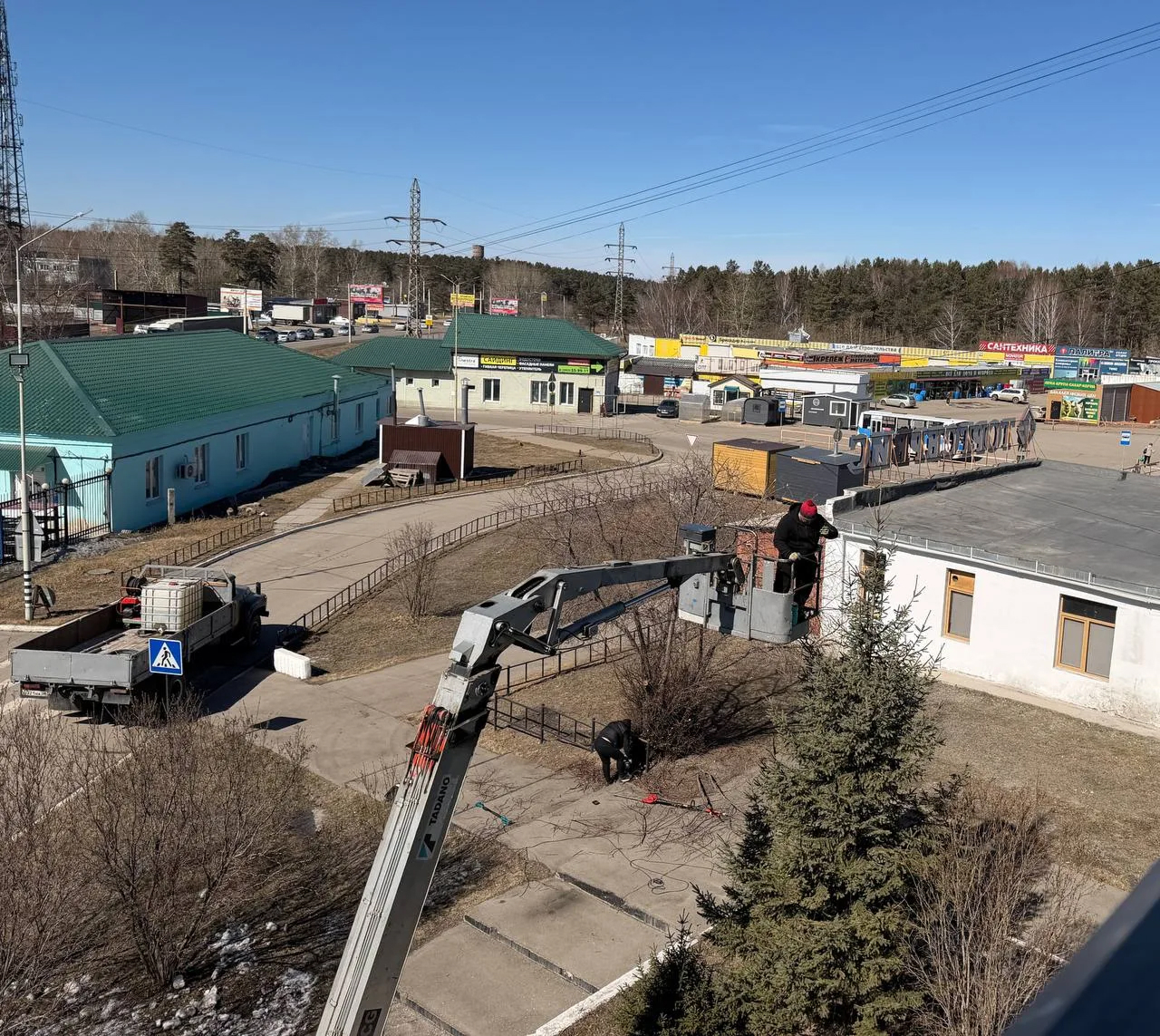 Обработка деревьев